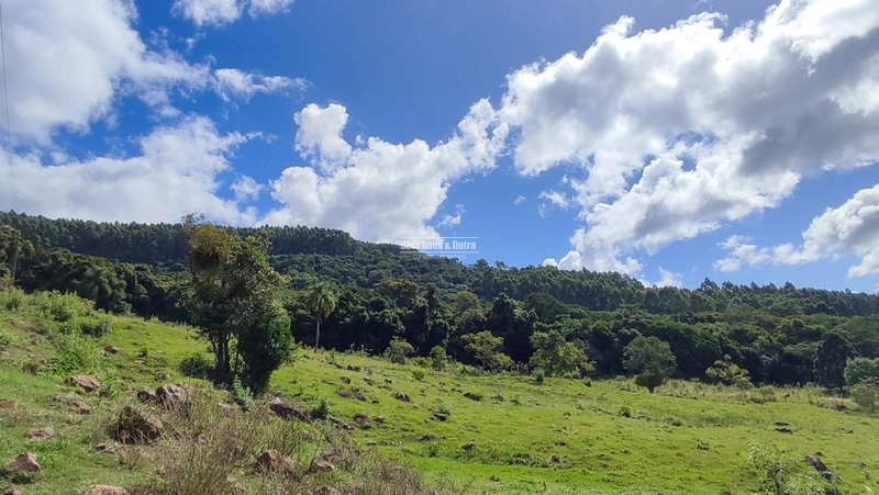 ROLANTE - CHÁCARA DE 3 HECTARES COM CASA E AÇUDES - CANTA GALO: 9ª foto da galeria de imagens do imóvel