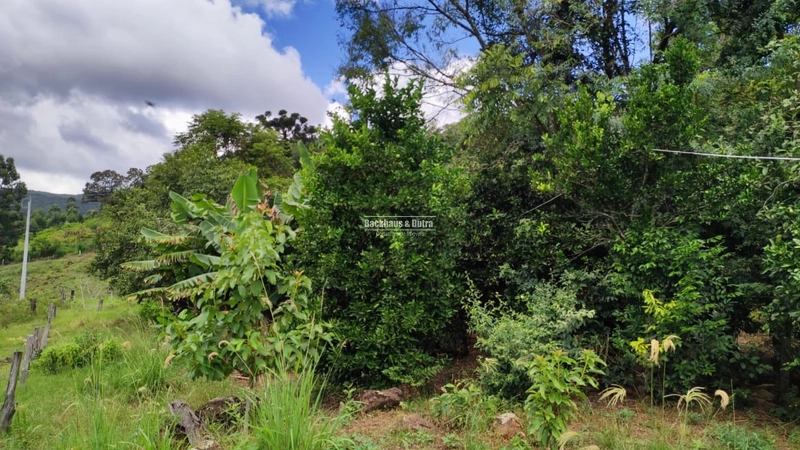 ROLANTE - CHÁCARA DE 3 HECTARES COM CASA E AÇUDES - CANTA GALO: 14ª foto da galeria de imagens do imóvel