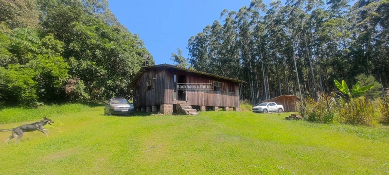 Rolante - 1.7 Hectares Campinas 3 cabanas: 11ª foto da galeria de imagens do imóvel