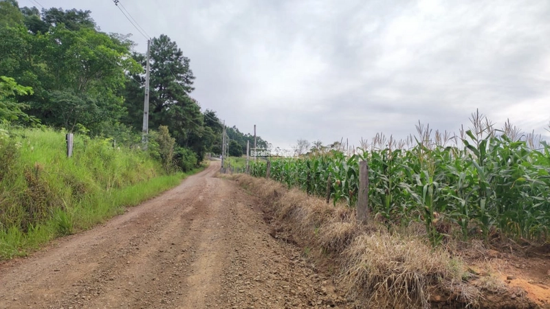 ROLANTE- CHÁCARA DE 1.143 COM VISTA PANORÂMICA - FAZENDA FLECK: 6ª foto da galeria de imagens do imóvel