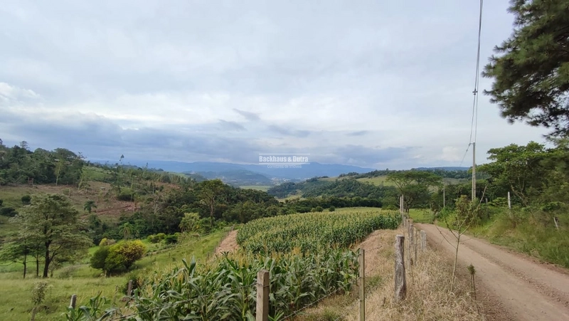 ROLANTE- CHÁCARA DE 1.143 COM VISTA PANORÂMICA - FAZENDA FLECK: 7ª foto da galeria de imagens do imóvel