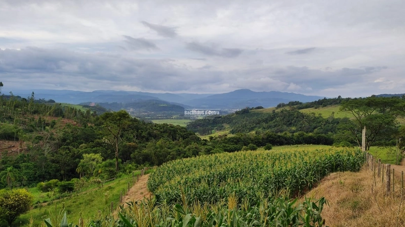 ROLANTE- CHÁCARA DE 1.143 COM VISTA PANORÂMICA - FAZENDA FLECK: 1ª foto da galeria de imagens do imóvel