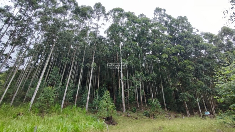 RIOZINHO- chácara 5 Hectares com casa- ALTO RIOZINHO: 2ª foto da galeria de imagens do imóvel