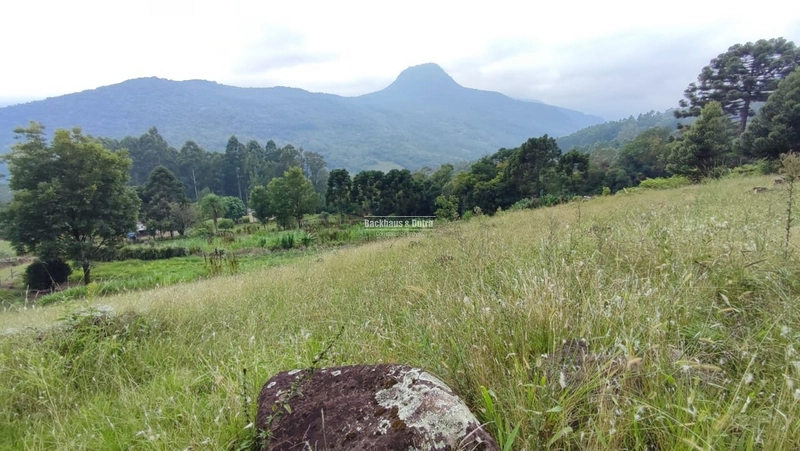 RIOZINHO- chácara 5 Hectares com casa- ALTO RIOZINHO: 5ª foto da galeria de imagens do imóvel