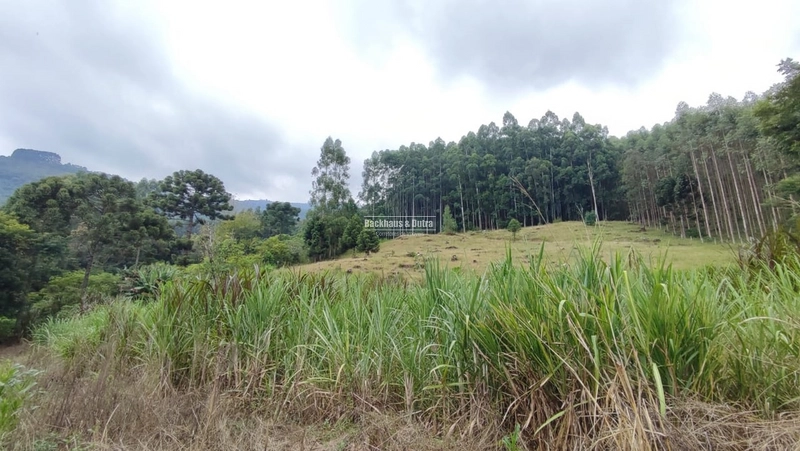 RIOZINHO- chácara 5 Hectares com casa- ALTO RIOZINHO: 7ª foto da galeria de imagens do imóvel