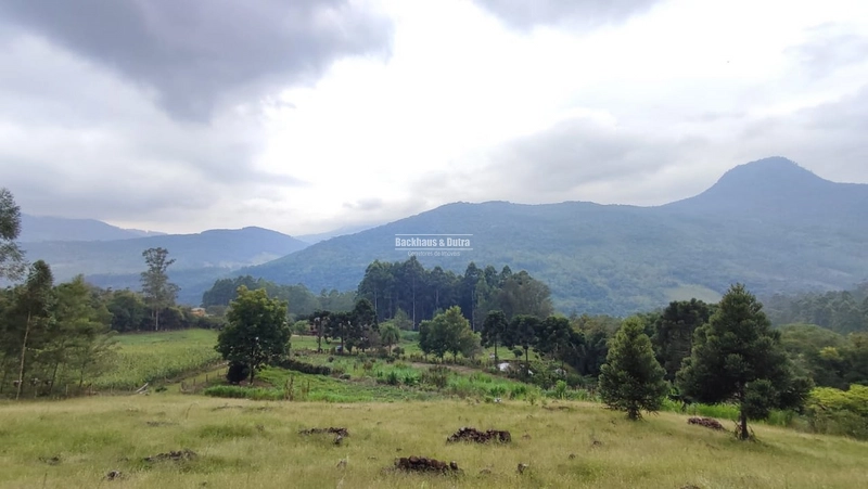 RIOZINHO- chácara 5 Hectares com casa- ALTO RIOZINHO: 15ª foto da galeria de imagens do imóvel