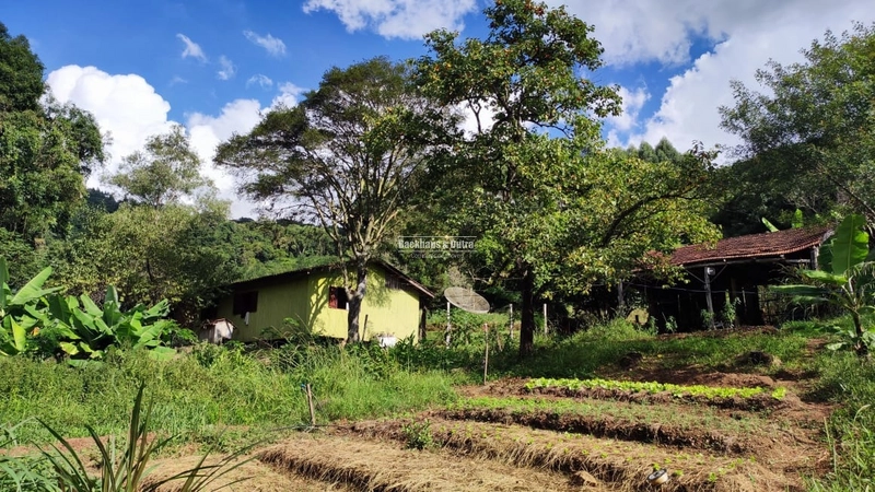 ROLANTE - CHÁCARA DE 2 HECTARES COM CASA -CANTA GALO: 1ª foto da galeria de imagens do imóvel