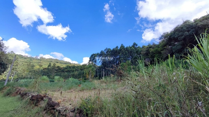 ROLANTE - CHÁCARA DE 2 HECTARES COM CASA -CANTA GALO: 4ª foto da galeria de imagens do imóvel