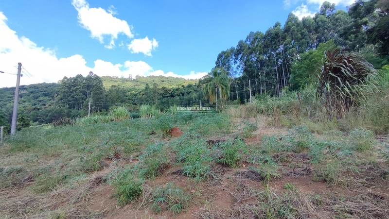 ROLANTE - CHÁCARA DE 2 HECTARES COM CASA -CANTA GALO: 8ª foto da galeria de imagens do imóvel