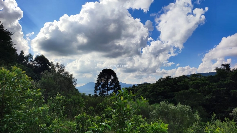 ROLANTE - CHÁCARA DE 2 HECTARES COM CASA -CANTA GALO: 5ª foto da galeria de imagens do imóvel