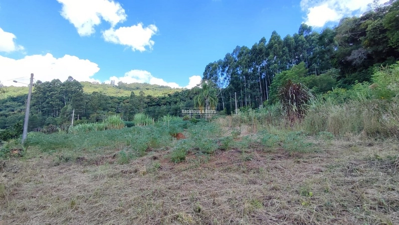 ROLANTE - CHÁCARA DE 2 HECTARES COM CASA -CANTA GALO: 6ª foto da galeria de imagens do imóvel