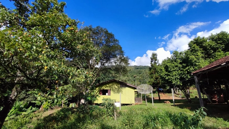 ROLANTE - CHÁCARA DE 2 HECTARES COM CASA -CANTA GALO: 7ª foto da galeria de imagens do imóvel