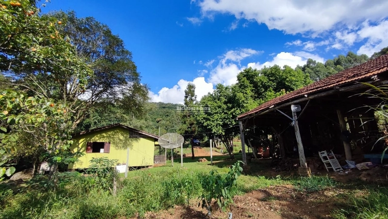 ROLANTE - CHÁCARA DE 2 HECTARES COM CASA -CANTA GALO: 3ª foto da galeria de imagens do imóvel