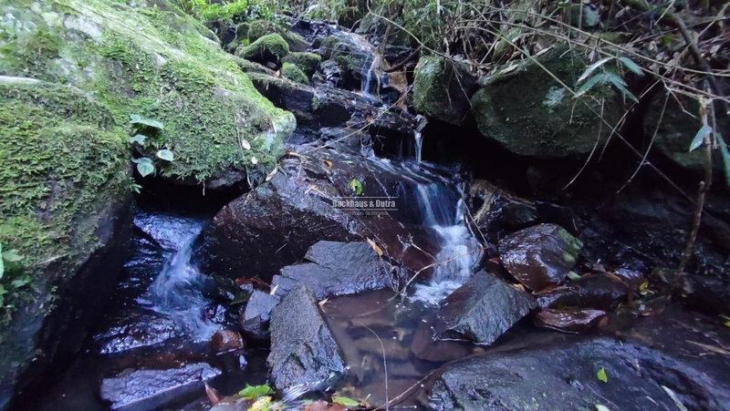 ROLANTE- CHÁCARA 10 HECTARES - L. FELIZ- BOA ESPERANÇA: 6ª foto da galeria de imagens do imóvel