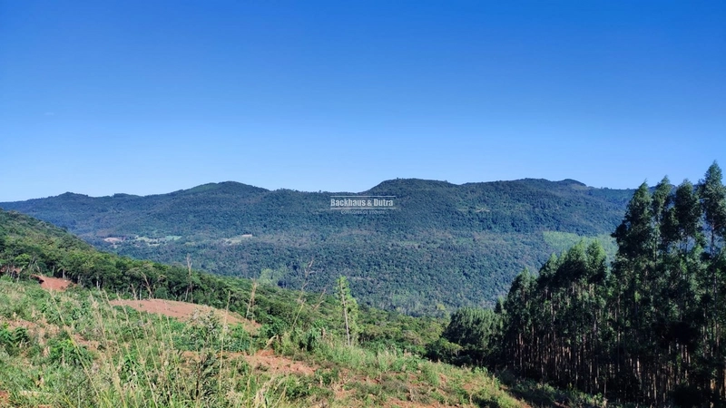 ROLANTE- CHÁCARA 10 HECTARES - L. FELIZ- BOA ESPERANÇA: 3ª foto da galeria de imagens do imóvel