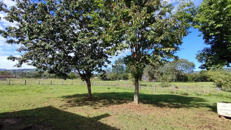 ROLANTE - CHÁCARA APROX. 1 HECTARE COM CASA - KM 17: 5ª foto da galeria de imagens do imóvel