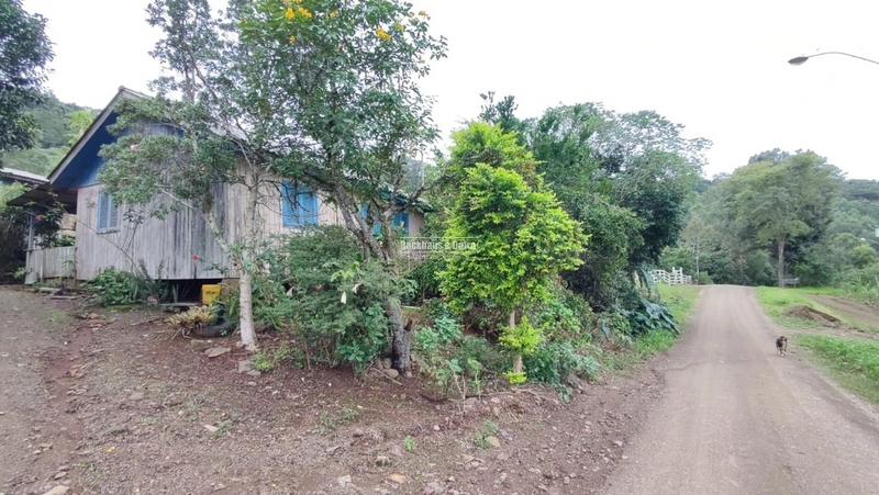 TAQUARA - CHÁCARA COM CASA - MORRO ALTO: 9ª foto da galeria de imagens do imóvel