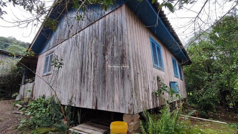 TAQUARA - CHÁCARA COM CASA - MORRO ALTO: 2ª foto da galeria de imagens do imóvel