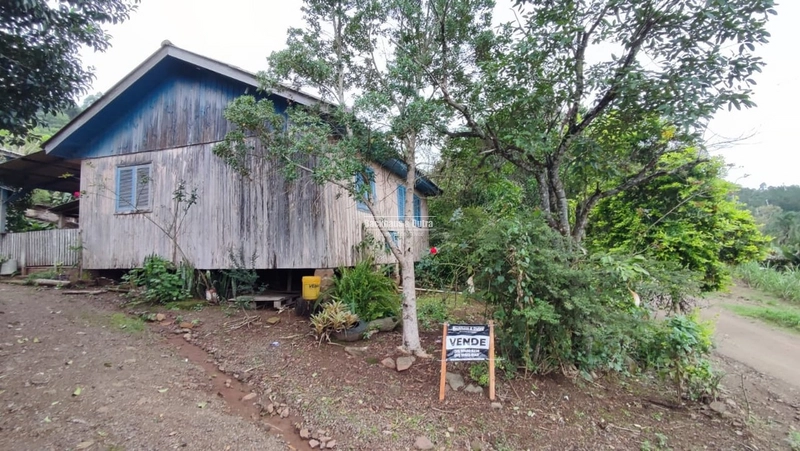 TAQUARA - CHÁCARA COM CASA - MORRO ALTO: 1ª foto da galeria de imagens do imóvel