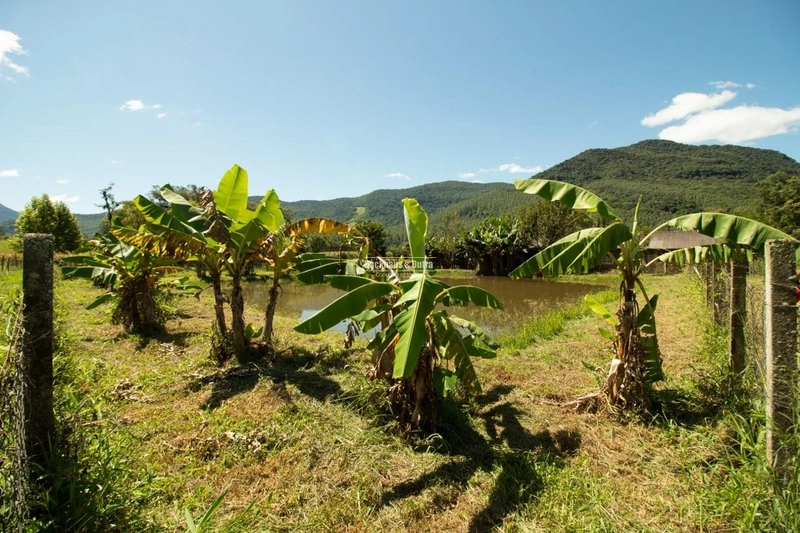 Maquiné - Chácara aproximadamente 16 hectares - Barra do Ouro.: 13ª foto da galeria de imagens do imóvel
