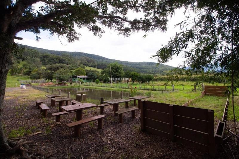 Maquiné - Chácara aproximadamente 16 hectares - Barra do Ouro.: 10ª foto da galeria de imagens do imóvel