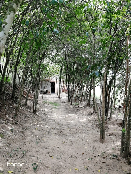 ROLANTE- CHÁCARA APROX. 1 HECTARE COM LINDA ORNAMENTAÇÃO- FAZENDA PASS: 6ª foto da galeria de imagens do imóvel