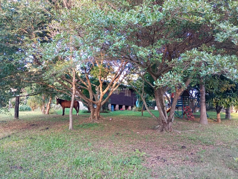 ROLANTE- CHÁCARA APROX. 1 HECTARE COM LINDA ORNAMENTAÇÃO- FAZENDA PASS: 11ª foto da galeria de imagens do imóvel