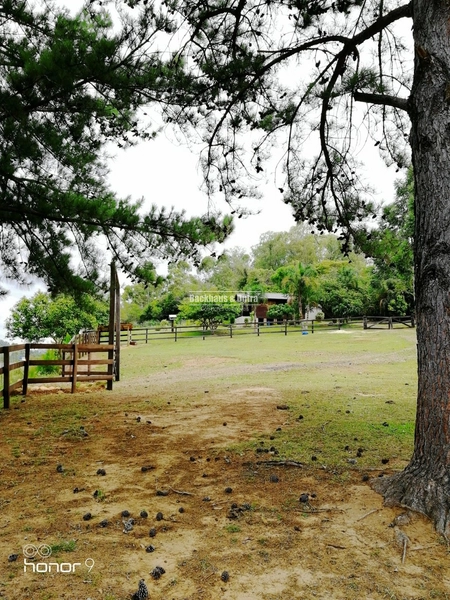 ROLANTE- CHÁCARA APROX. 1 HECTARE COM LINDA ORNAMENTAÇÃO- FAZENDA PASS: 4ª foto da galeria de imagens do imóvel