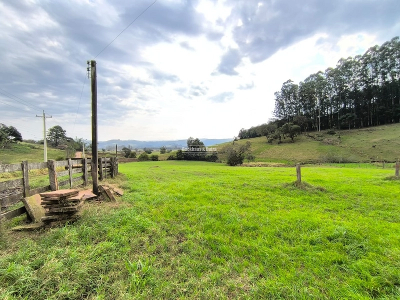 ROLANTE- 15 HECTARES PARA CRIAÇÃO DE GADO- FAZENDA FLECK: 4ª foto da galeria de imagens do imóvel