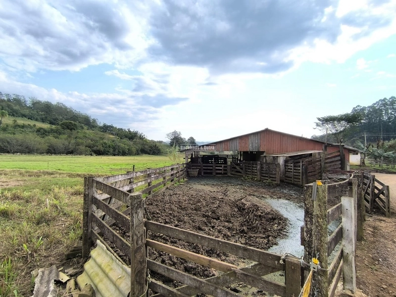 ROLANTE- 15 HECTARES PARA CRIAÇÃO DE GADO- FAZENDA FLECK: 6ª foto da galeria de imagens do imóvel