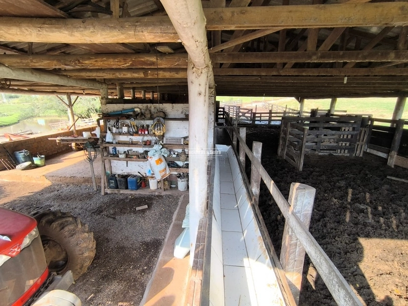 ROLANTE- 15 HECTARES PARA CRIAÇÃO DE GADO- FAZENDA FLECK: 7ª foto da galeria de imagens do imóvel