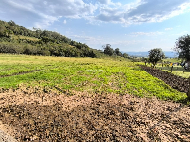 ROLANTE- 15 HECTARES PARA CRIAÇÃO DE GADO- FAZENDA FLECK: 8ª foto da galeria de imagens do imóvel