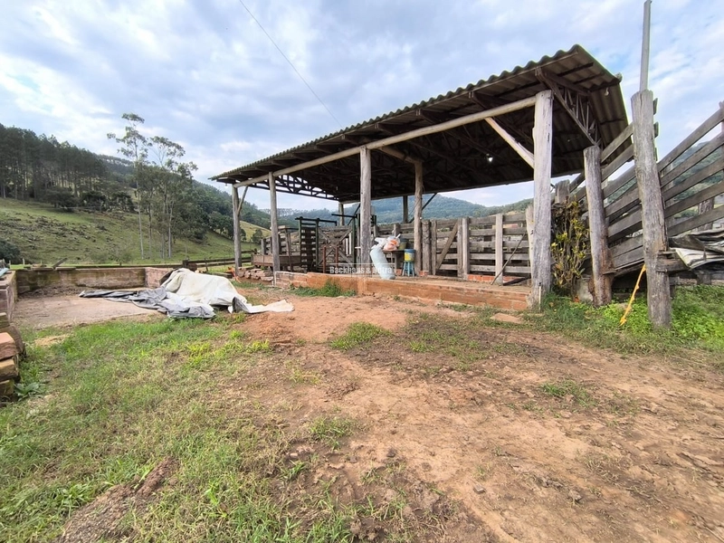 ROLANTE- 15 HECTARES PARA CRIAÇÃO DE GADO- FAZENDA FLECK: 5ª foto da galeria de imagens do imóvel