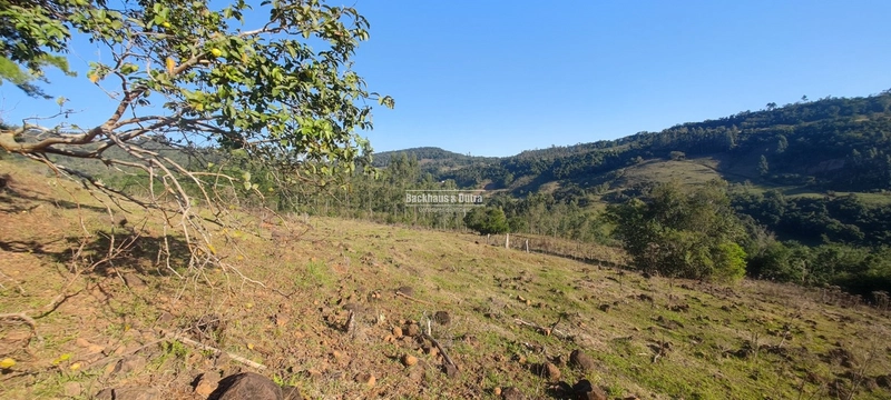 Rolante- 6 hectares com casa/arroio Linha Reichert: 18ª foto da galeria de imagens do imóvel