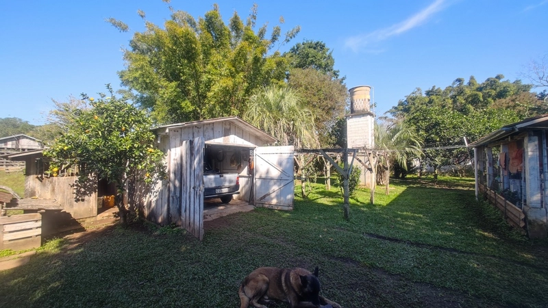 Rolante- Sítio Meio Hectare- Estrada Velha: 19ª foto da galeria de imagens do imóvel