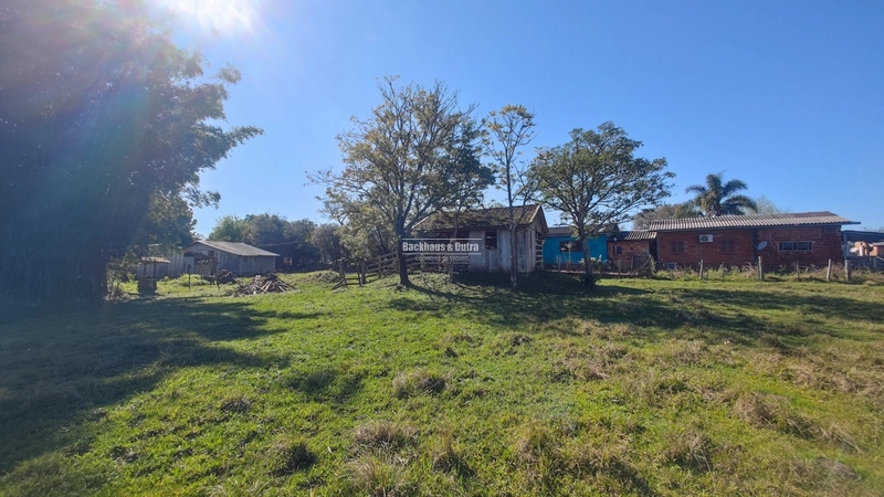Rolante- Sítio Meio Hectare- Estrada Velha: 6ª foto da galeria de imagens do imóvel