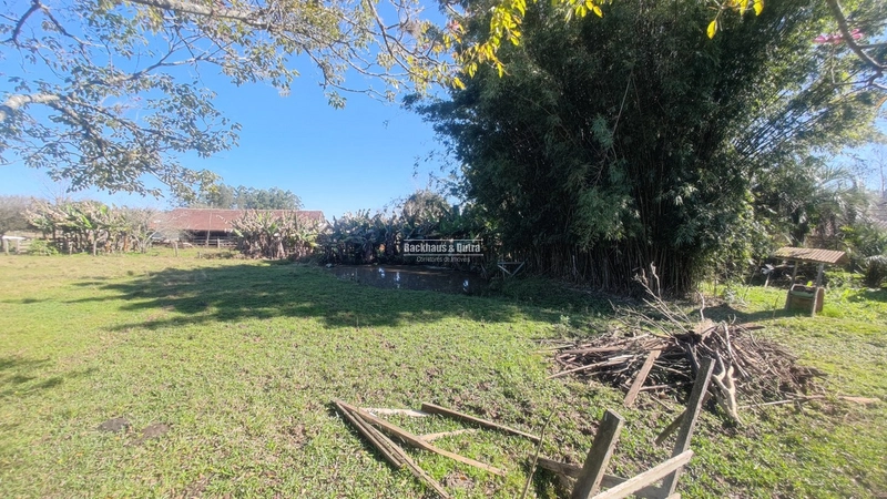 Rolante- Sítio Meio Hectare- Estrada Velha: 7ª foto da galeria de imagens do imóvel