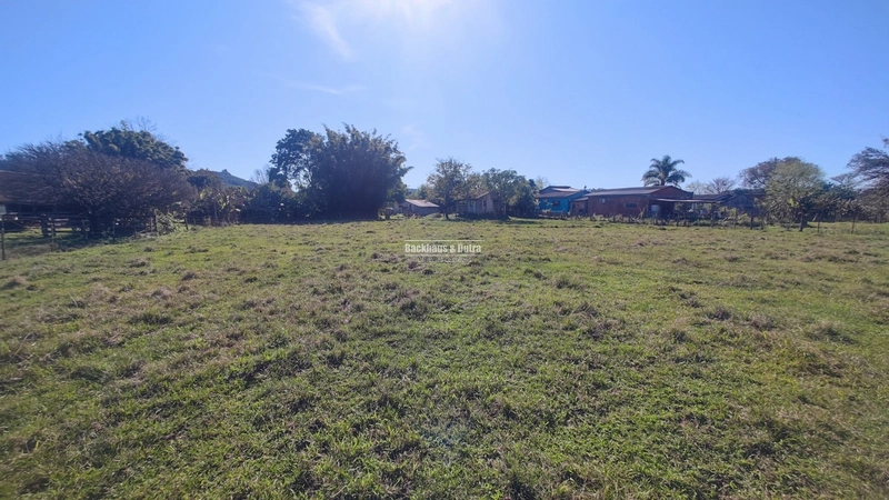 Rolante- Sítio Meio Hectare- Estrada Velha: 4ª foto da galeria de imagens do imóvel