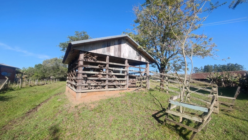 Rolante- Sítio Meio Hectare- Estrada Velha: 9ª foto da galeria de imagens do imóvel