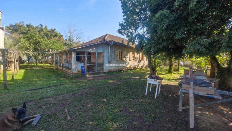 Rolante- Sítio Meio Hectare- Estrada Velha: 20ª foto da galeria de imagens do imóvel