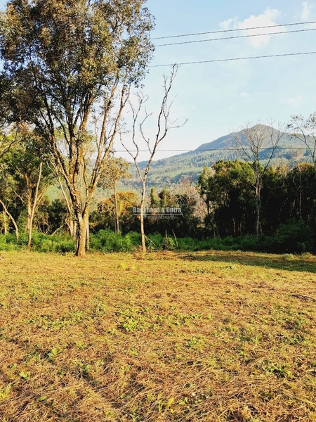 ROLANTE - CHÁCARA MEIO HECTARE - BOA ESPERANÇA: 2ª foto da galeria de imagens do imóvel