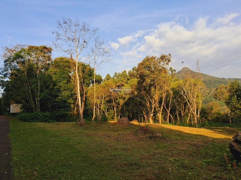 ROLANTE - CHÁCARA MEIO HECTARE - BOA ESPERANÇA: 1ª foto da galeria de imagens do imóvel