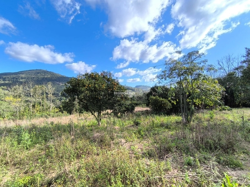 ROLANTE- CHÁCARA DE 6.000 M2 COM ARROIO - COLÔNIA MONGE: 2ª foto da galeria de imagens do imóvel