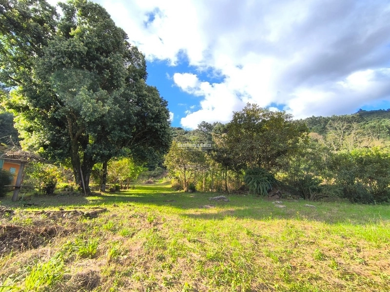 ROLANTE- CHÁCARA DE 6.000 M2 COM ARROIO - COLÔNIA MONGE: 1ª foto da galeria de imagens do imóvel