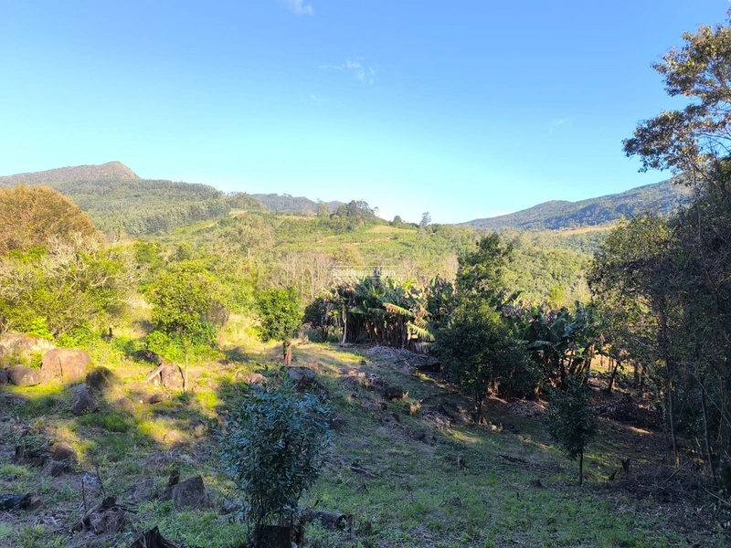 ROLANTE- CHÁCARA DE 6.000 M2 COM ARROIO - COLÔNIA MONGE: 5ª foto da galeria de imagens do imóvel