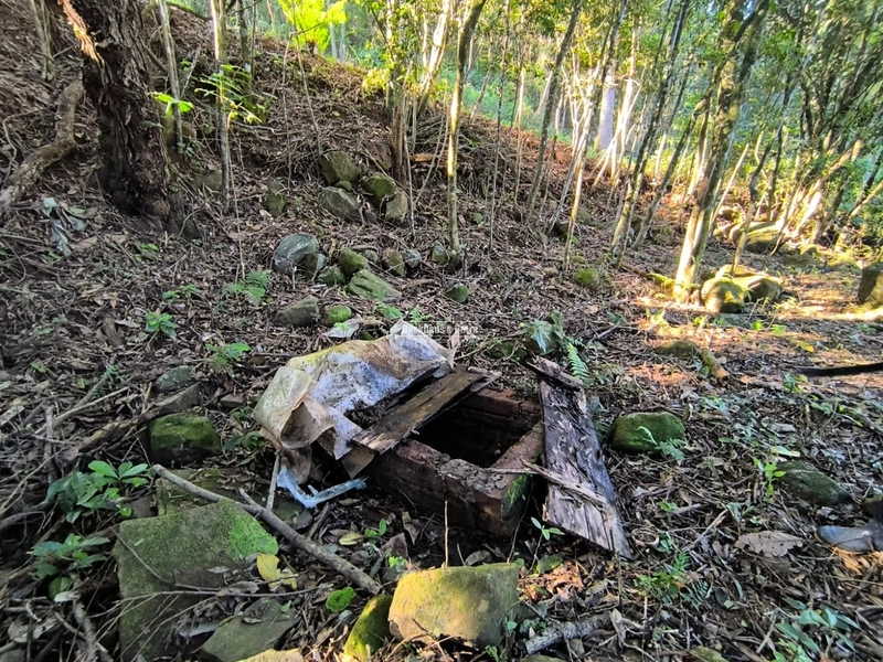 ROLANTE- CHÁCARA DE 6.000 M2 COM ARROIO - COLÔNIA MONGE: 6ª foto da galeria de imagens do imóvel