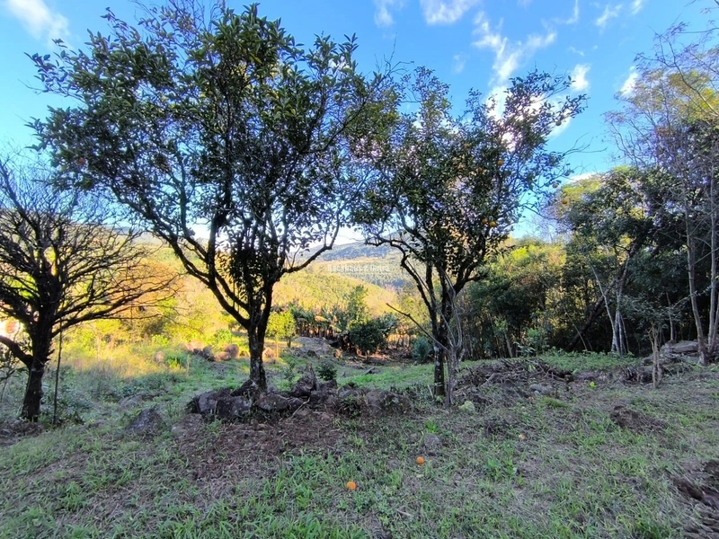 ROLANTE- CHÁCARA DE 6.000 M2 COM ARROIO - COLÔNIA MONGE: 3ª foto da galeria de imagens do imóvel