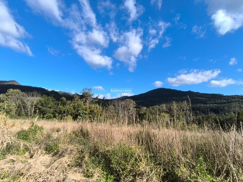 ROLANTE- CHÁCARA DE 6.000 M2 COM ARROIO - COLÔNIA MONGE: 7ª foto da galeria de imagens do imóvel