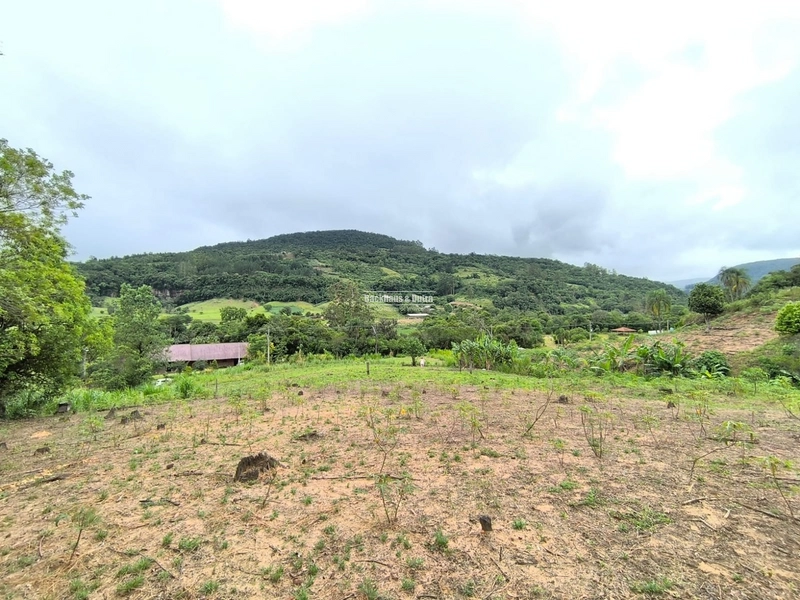 ROLANTE- CHÁCARA DE 3 HECTARES - ROLANTINHO: 8ª foto da galeria de imagens do imóvel