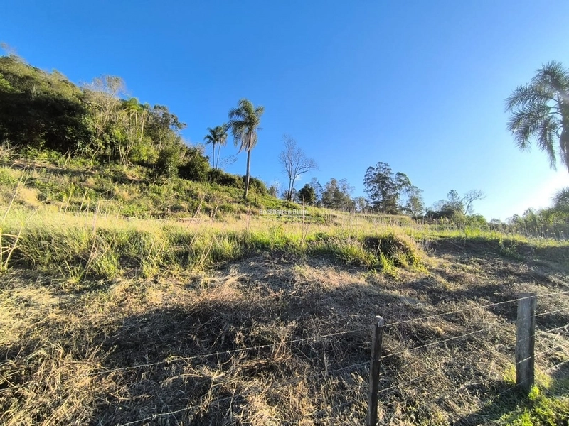 ROLANTE- CHÁCARA DE 3 HECTARES - ROLANTINHO: 4ª foto da galeria de imagens do imóvel